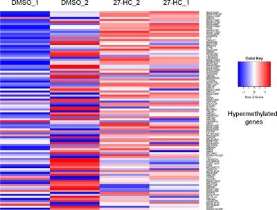 27-Hydroxycholesterol, The Estrogen Receptor Modulator, Alters DNA Methylation in Breast Cancer